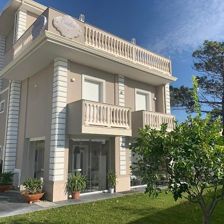 Crialesi Boutique Rooms Falerna Buitenkant foto